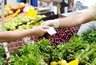 Миниатюра новости: Власти Новороссийска предупредили о возможных проблемах с безналичной оплатой на городских рынках