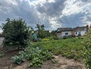 Если бы я раньше знала, что от муравьев и тли поможет избавиться обычный йод, сэкономила бы кучу сил, денег и времени: срочно записывайте рецепт