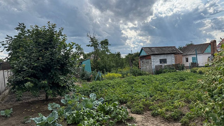 Главная картинка новости: Если бы я раньше знала, что от муравьев и тли поможет избавиться обычный йод, сэкономила бы кучу сил, денег и времени: срочно записывайте рецепт