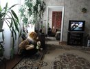 Ковер становится таким чистым, что теперь не наступаю: убираю всю грязь за несколько минут - поможет всего одна мелочь