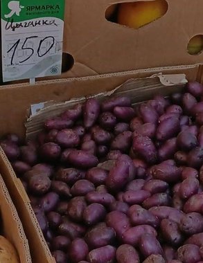В Новороссийске продают лечебную фиолетовую картошку по 150 рублей за килограмм