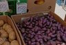 Миниатюра новости: В Новороссийске продают лечебную фиолетовую картошку по 150 рублей за килограмм