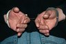 Миниатюра новости: Жителю Воронежской области грозит тюремный срок за повреждение иномарки в Новороссийске