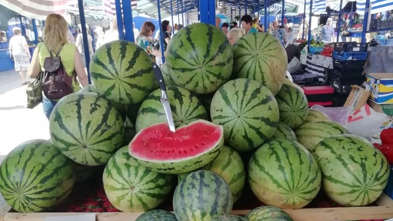 Главная картинка новости: Арбузный сезон набирает обороты: в Новороссийске началось ощутимое снижение цен на полосатые ягоды