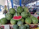 Арбузный сезон набирает обороты: в Новороссийске началось ощутимое снижение цен на полосатые ягоды