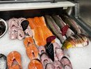Учёные назвали самую полезную для человека рыбу — ешьте два раза в неделю. Богата селеном, фосфором и прекрасна на вкус
