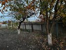 Топ-5 популярных дачных лайфхаков, которые на самом деле не работают - обязаны знать все, у кого есть огород