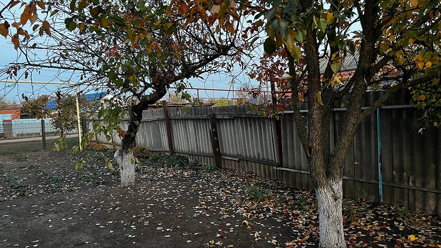 Главная картинка новости: Топ-5 популярных дачных лайфхаков, которые на самом деле не работают - обязаны знать все, у кого есть огород