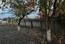 Миниатюра новости: Топ-5 популярных дачных лайфхаков, которые на самом деле не работают - обязаны знать все, у кого есть огород
