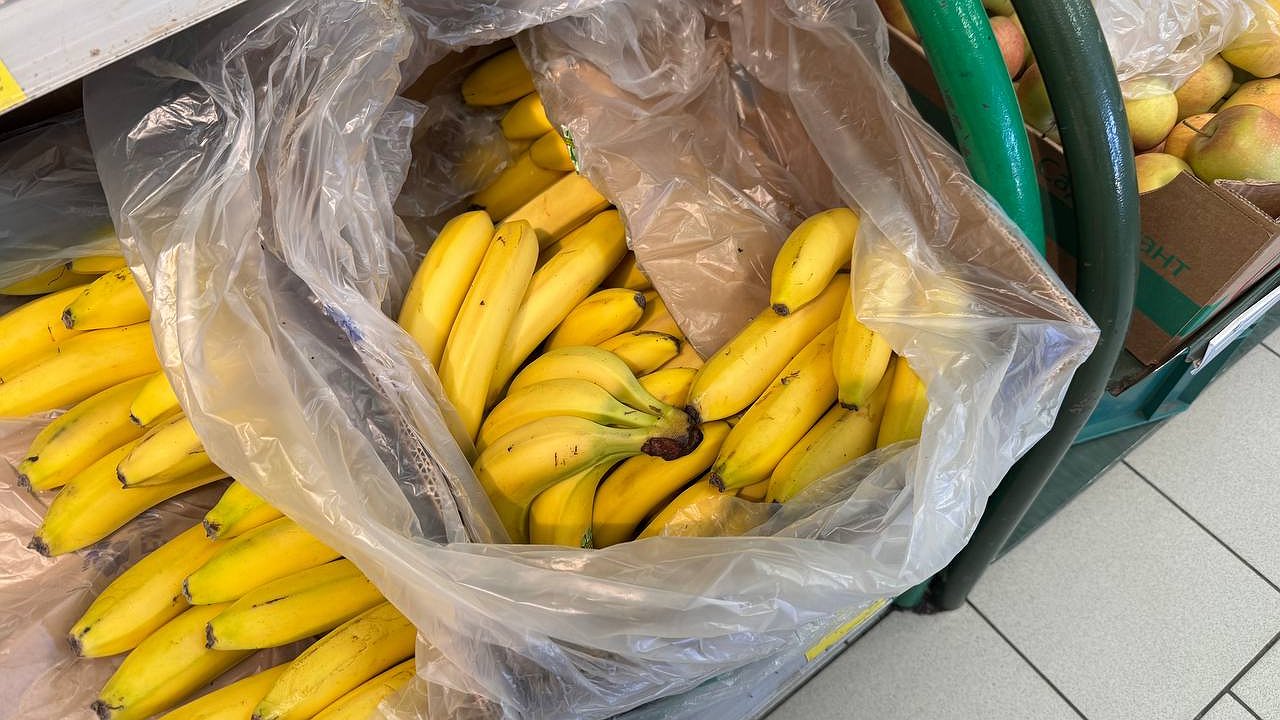 Главная картинка новости: Продавцы "Магнита" и "Пятерочки" постоянно охотятся за пакетиками из коробок с бананами — забирайте тоже