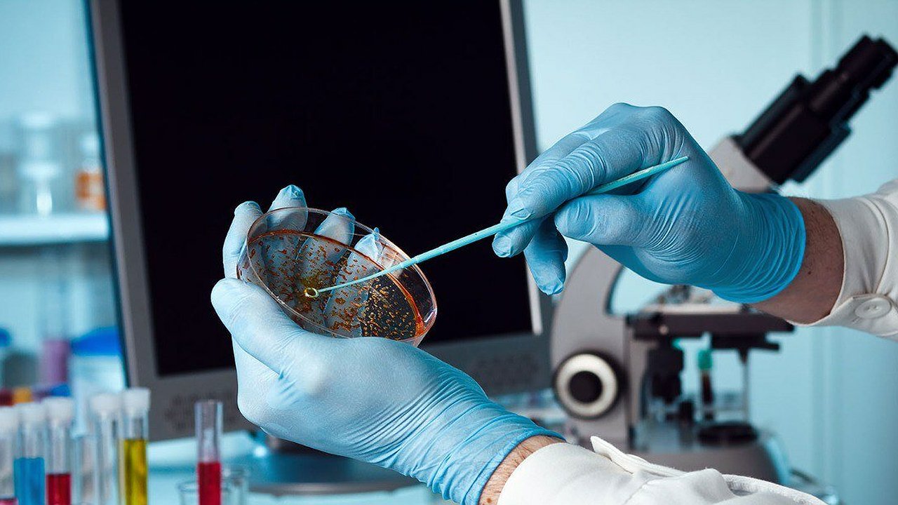 Главная картинка новости: Новороссийская лаборатория проверила более 660 образцов пестицидов в 2025 году