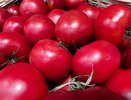 Грядка под атакой: как уберечь томаты от летнего града