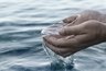 Миниатюра новости: Жители Краснодарского края торгуют водой из Чёрного моря: чем это может быть опасно