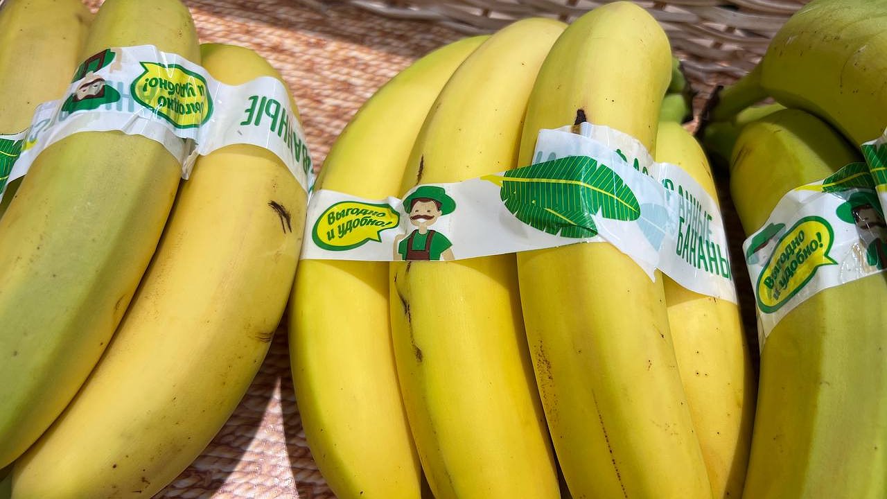 Главная картинка новости: Банан в неделю и всё: вот почему во Франции много людей не употребляют фрукты и овощи