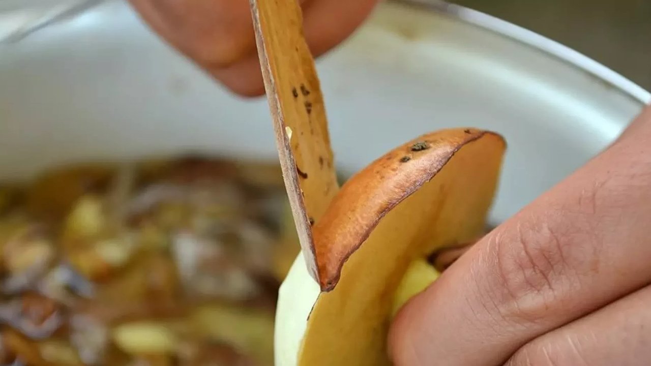 Главная картинка новости: Раньше до ночи мучилась, снимая пленку с маслят: теперь чищу ведро грибов за полчаса