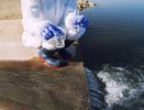 Пляжи Новороссийска и соседних курортов признаны безопасными после тысяч лабораторных анализов