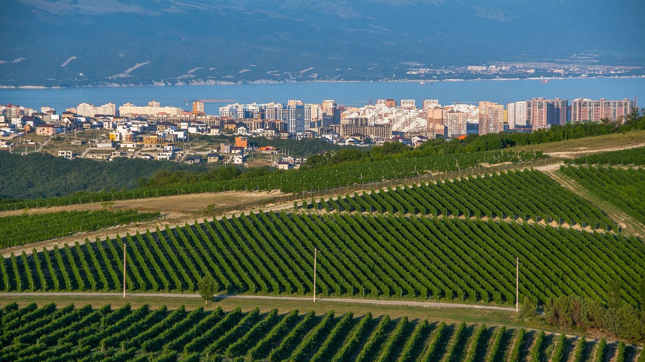 Главная картинка новости: Новороссийск задыхается в жаре: душный воздух, +32 и ни капли дождя - прогноз на 12 июля