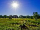 Шашлыки под запретом: в новороссийских лесах ввели жесткие ограничения