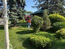«Июль и август станут экстремальными». Синоптики дали новый прогноз до конца лета 2025