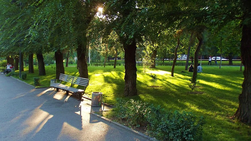 Главная картинка новости: Жара на Кубани спадет до +35°C: синоптик предупредила о ливнях и повышенной температуре до конца июля