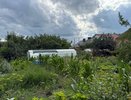 Палящее солнце теперь не проблема: 5 простых и доступных способов спасти ваш огород от жары и засухи