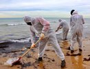 Ученые раскрыли правду: насколько опасен мазут для черноморских курортов