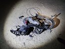 Трагедия под Новороссийском: 16-летний подросток погиб в лобовом столкновении
