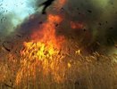 30 гектаров пшеницы в огне: в Краснодарском крае произошел масштабный поджог полей