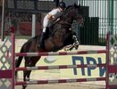 15 наград, 7 побед – новороссийские спортсмены разгромили конкурентов на Кубке края