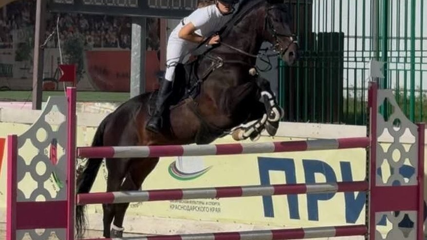 Главная картинка новости: 15 наград, 7 побед – новороссийские спортсмены разгромили конкурентов на Кубке края