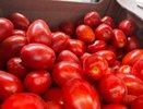 Побрызгала на помидоры кухонным раствором - и фитофтора сошла на нет уже к утру: листья чистые, плоды целые, урожай спасен