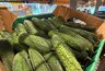 Миниатюра новости: Хотите богатый урожай огурцов до октября: вот что необходимо сделать в июле