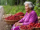 Туриста из Германии шокировала торговля грибами и ягодами на обочинах дорог в России