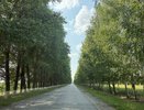 Сразу до +40 градусов: Вильфанд рассказал, когда снова вернется жара. Ждать осталось чуть-чуть