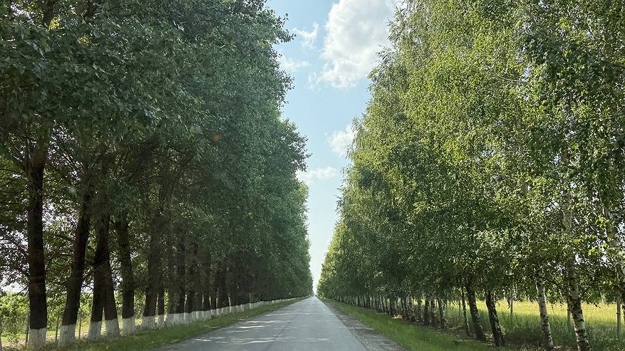 Главная картинка новости: Сразу до +40 градусов: Вильфанд рассказал, когда снова вернется жара. Ждать осталось чуть-чуть