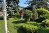 Миниатюра новости: Аномальная жара вернется и испепелит весь урожай: Вильфанд озвучил новый прогноз