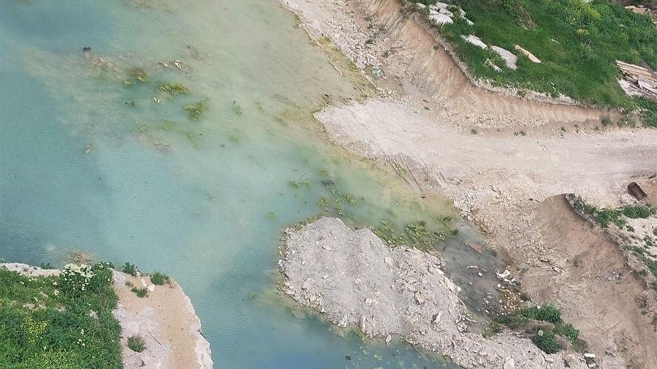 Главная картинка новости: «Лягушки не дают спать!» В Новороссийске наконец займутся осушением злополучного «болота»