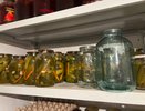 Так вкусно, что трещит за ушами: самый обычный рецепт маринованных огурчиков в домашних условиях