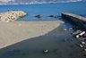 Миниатюра новости: "Кто загрязняет реку Озерейку?": «Водоканал» Новороссийска обвинил фермы и частные дома