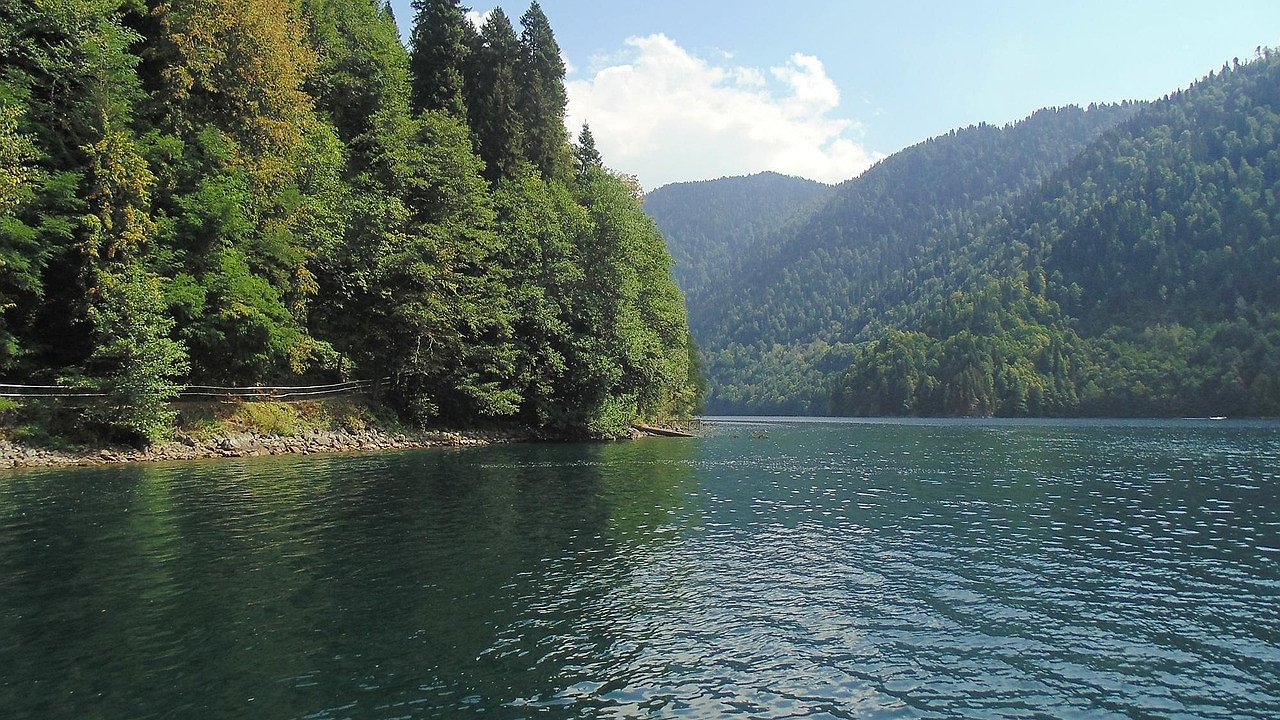 Главная картинка новости: Купили дом мечты в Абхазии, а через год сбежали, оставив почти все имущество - вот в чем дело