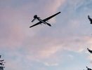 Ночью над Краснодарским краем сбили восемь беспилотников