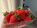 Финское клубничное рабство: как я решилась поехать на сбор клубники в Европу - искренний отзыв туриста