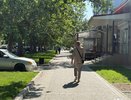 Эти русские фамилии сразу выдают потомка крестьян - проверьте, вдруг  в списке есть ваша