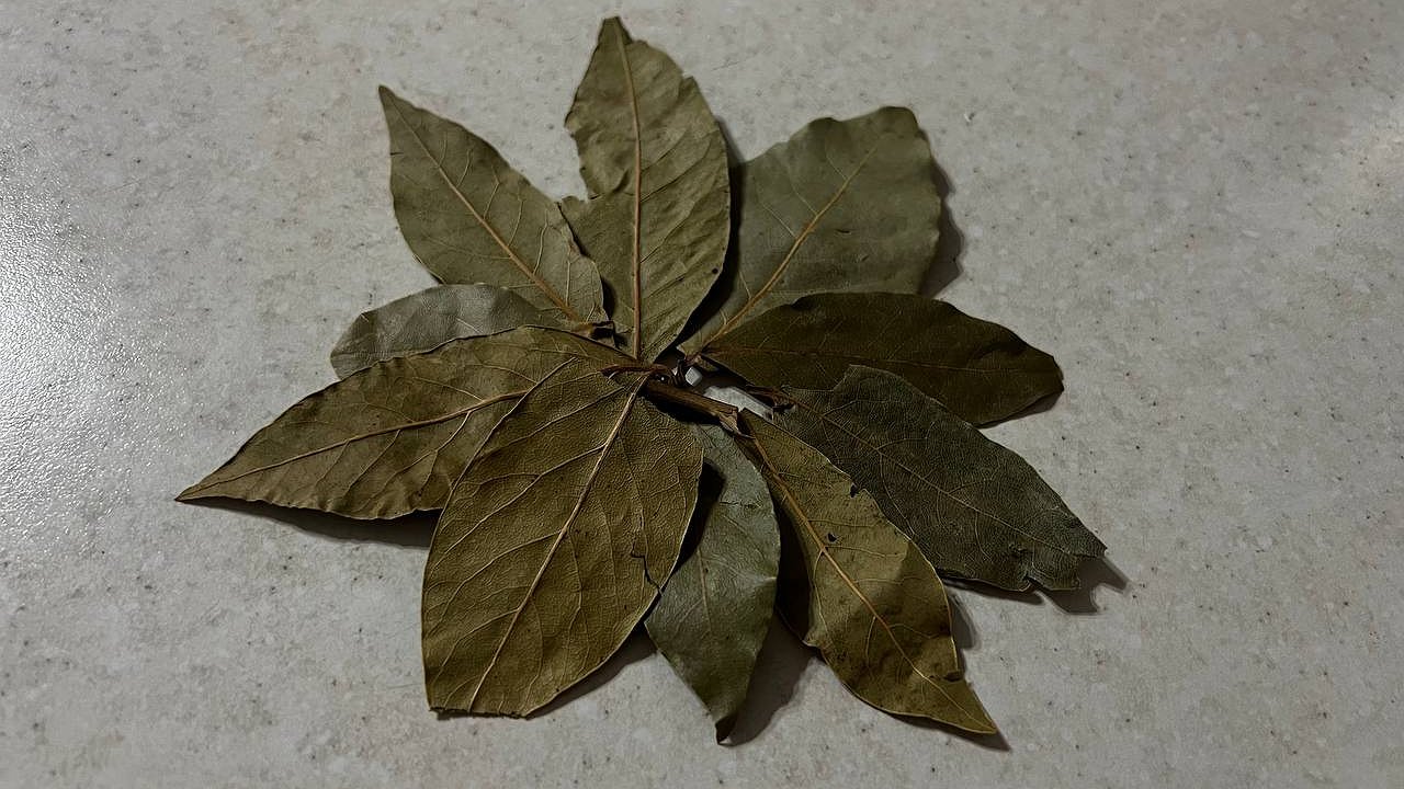 Главная картинка новости: Зажгите лавровый лист в квартире - лишь единицы знают, для чего это на самом деле нужно