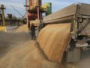 Рекордные поставки зерна в Китай: Новороссийск отгрузил 415 тысяч тонн с начала года