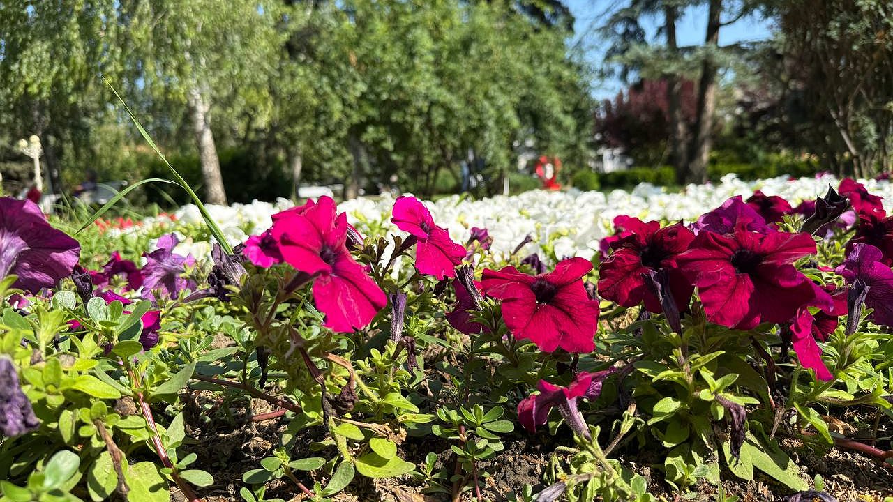 Главная картинка новости: Сентябрь может стать нетипичным: метеорологи дали новый прогноз