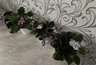 Миниатюра новости: Для роскошного цветения фиалки — незаменимое средство: 1 гр. на литр воды — и шапки пышнее кудрей Пушкина