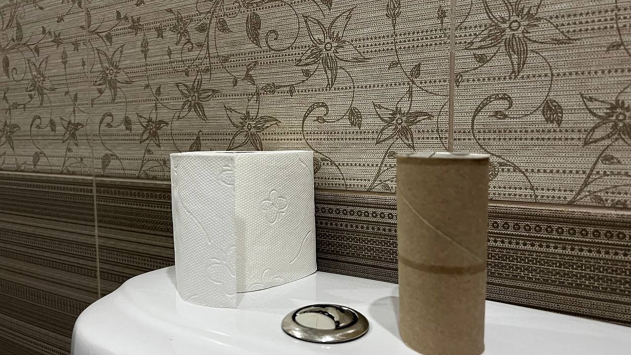 Главная картинка новости: Втулки от туалетной бумаги берегу как зеницу ока: вот как их применяю — очень полезная вещь для решения многих задач