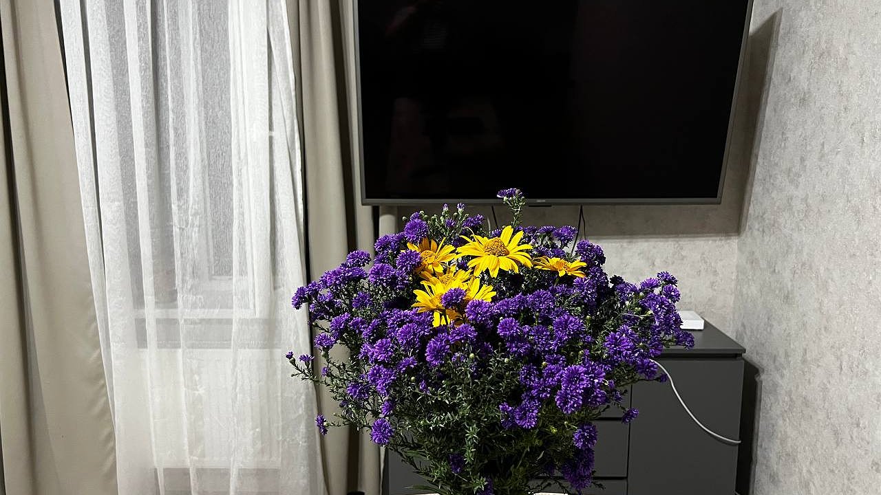 Главная картинка новости: В квартире больше не воняет: эта хитрость навсегда уберет неприятный запах - не химия, не уксус, не кофе