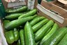 Миниатюра новости: Нужно ли чистить огурцы: ученые рассказали, какая опасность таится в их кожуре
